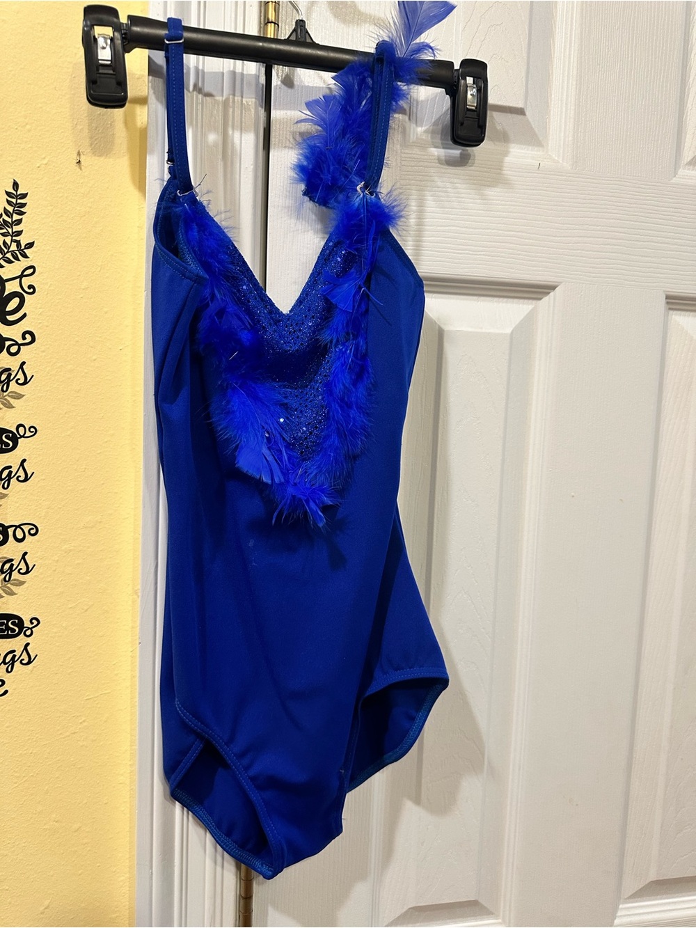 Weissman Royal Blue Leotard with Feather Trim